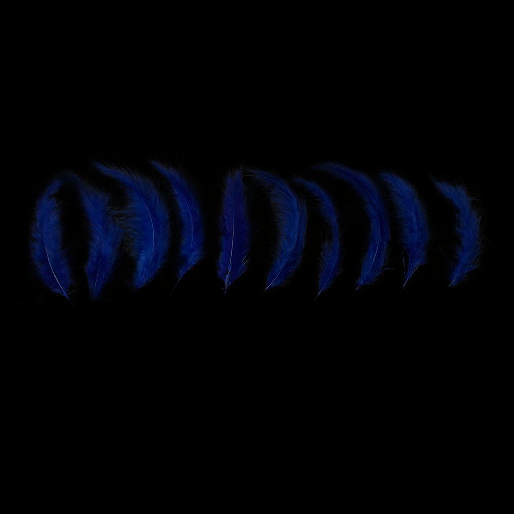 Blue LED Balloons