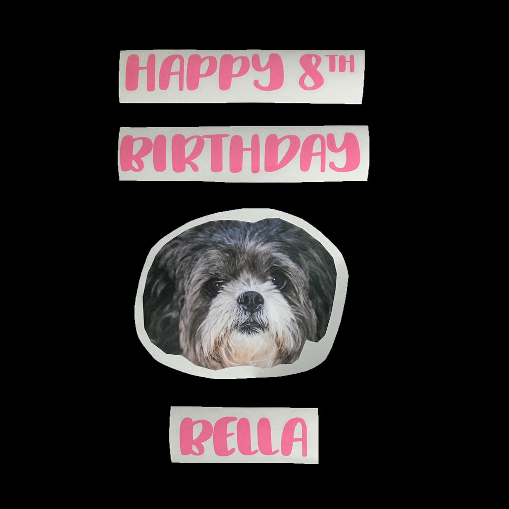 "Pet Milestone" Photo Balloominator - Balloominators