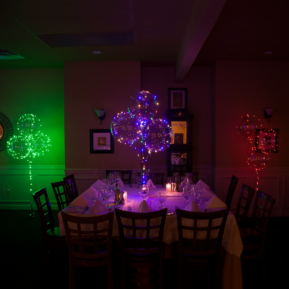 Multi (Blue/Green/Red/Yellow) 18 Inch Balloominators - Box of 6 - Balloominators